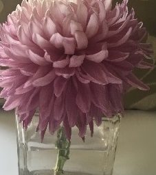 Upcycling Idea – From Reed Diffuser To Vase