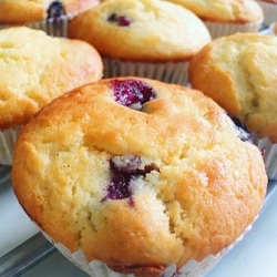 Blueberry Yoghurt Muffins with a Honey Drizzle